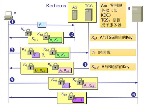計算機網絡體系結構、網絡安全與技術開發 互聯時代的基石