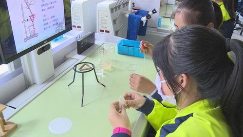 長白山 菜單式課后服務賦能“雙減”落地，教育咨詢精準護航